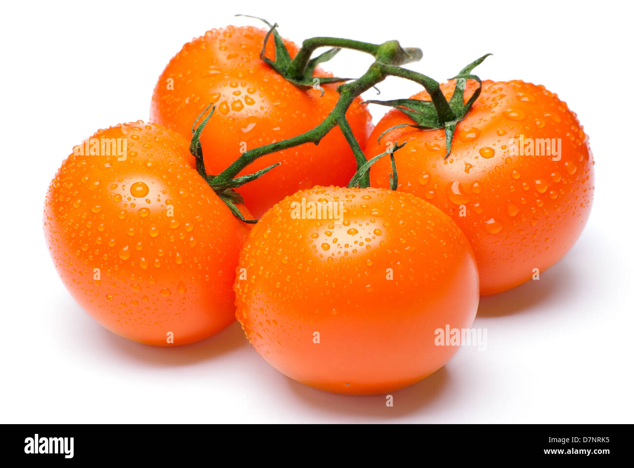 Vier gelbe Tomaten auf einen Brunch isoliert auf weißem Hintergrund Stockfoto