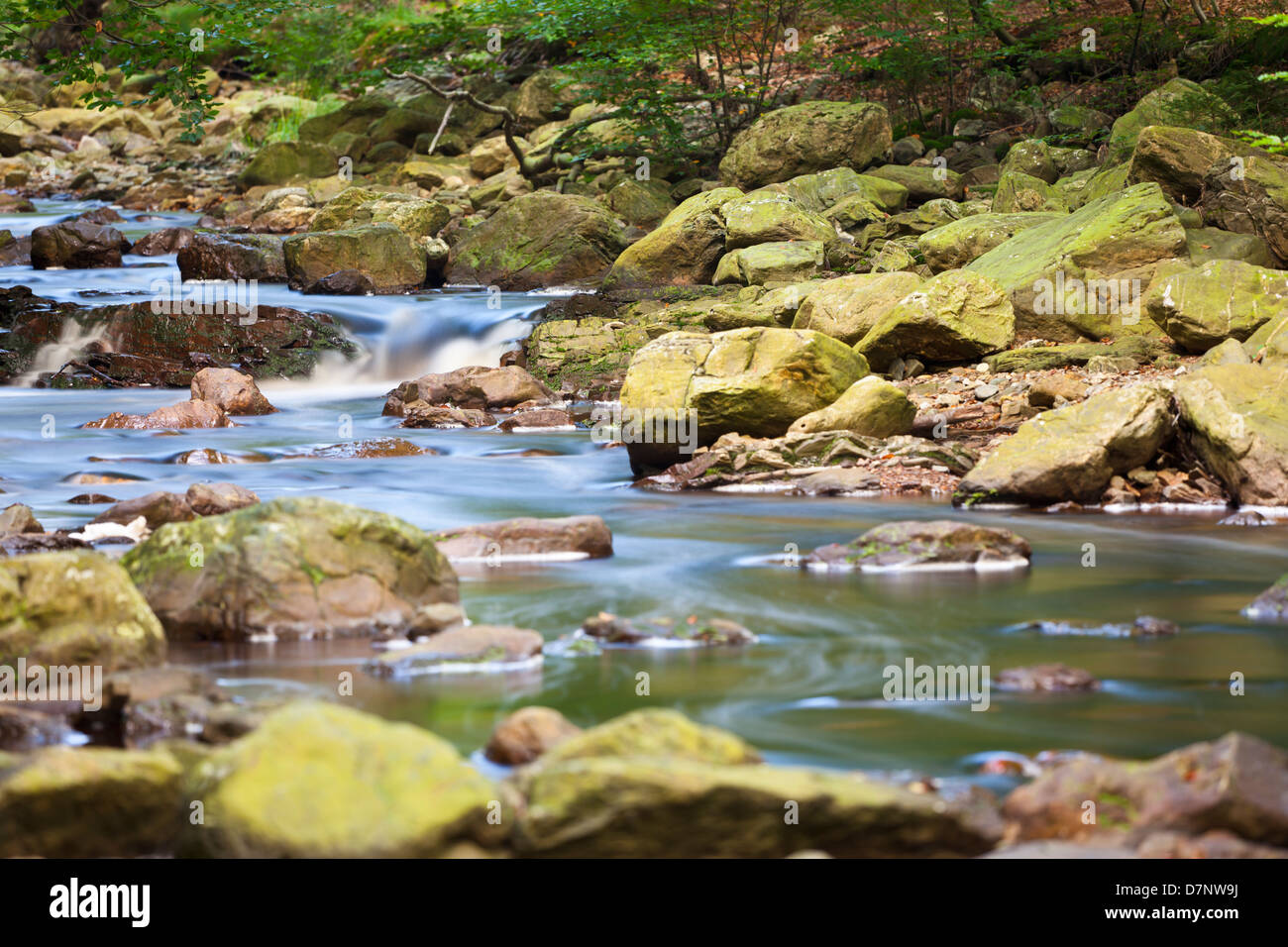 Fluss-Hügel in einem Tal des Hohen Venn im Herbst lange Exposition erschossen. Stockfoto