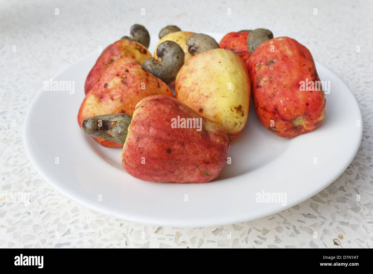 Cashew-Früchte auf Platte Stockfoto