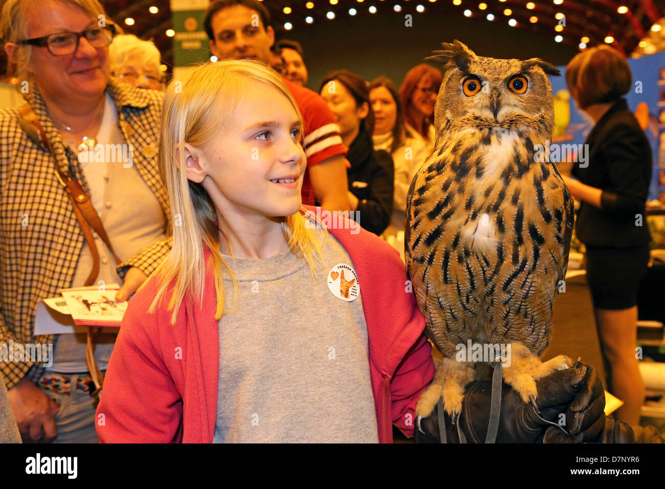 London, UK. 11. Mai 2013. Arthur der Europäischen Uhu durch Alice an der London Pet Show 2013, Earls Court, London, England statt. Bildnachweis: Paul Brown/Alamy Live-Nachrichten Stockfoto