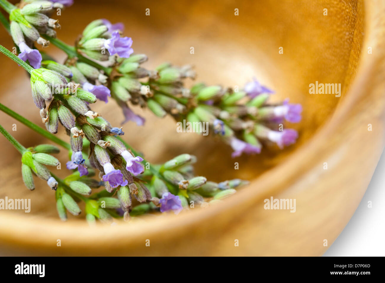 Lavendel Blume in Holzschale Stockfoto