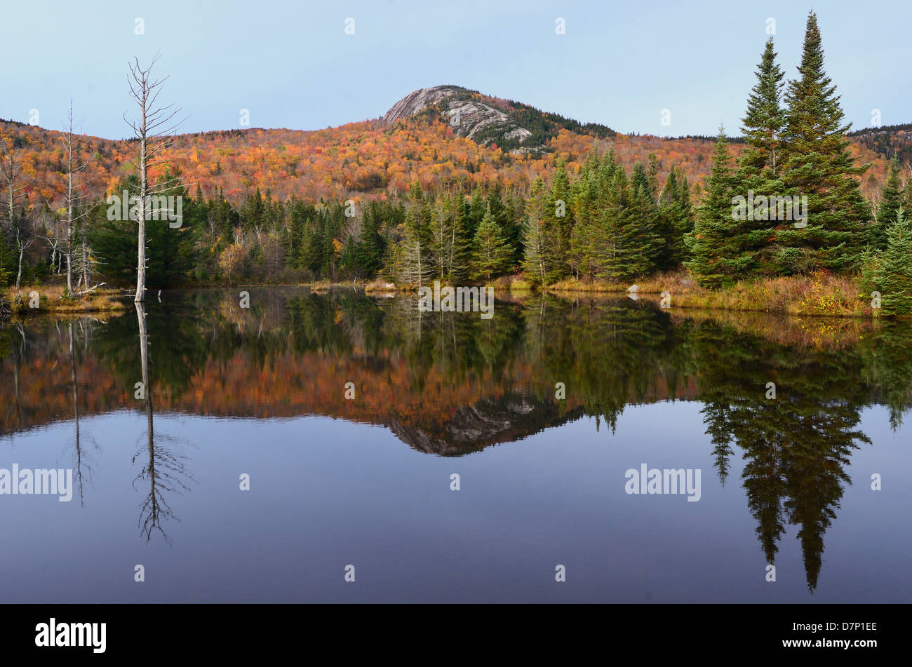 White Mountain National Forest. New Hampshire. Oktober 2012. Stockfoto