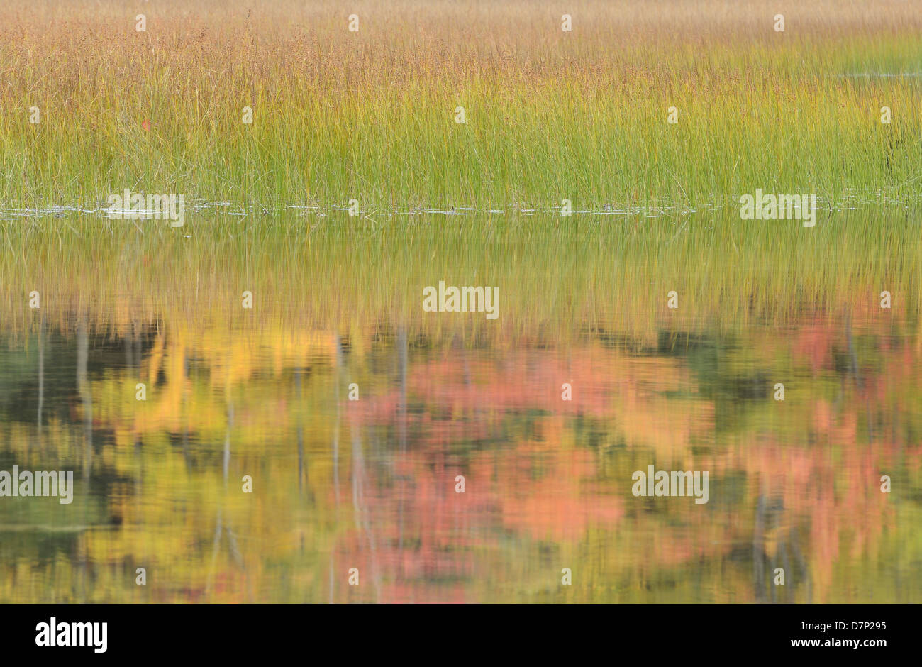 Neuengland im Herbst Teich Reflexion Stockfoto