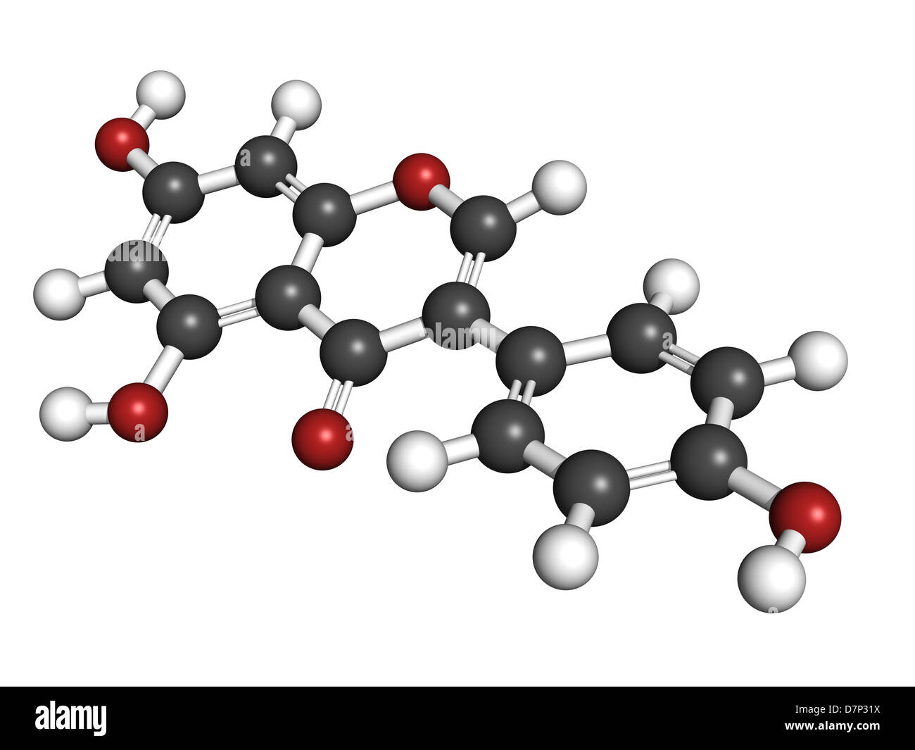 Genistein Isoflavonen, Molekülmodell. Atome werden als Kugeln mit konventionellen Farbkodierung dargestellt. Stockfoto