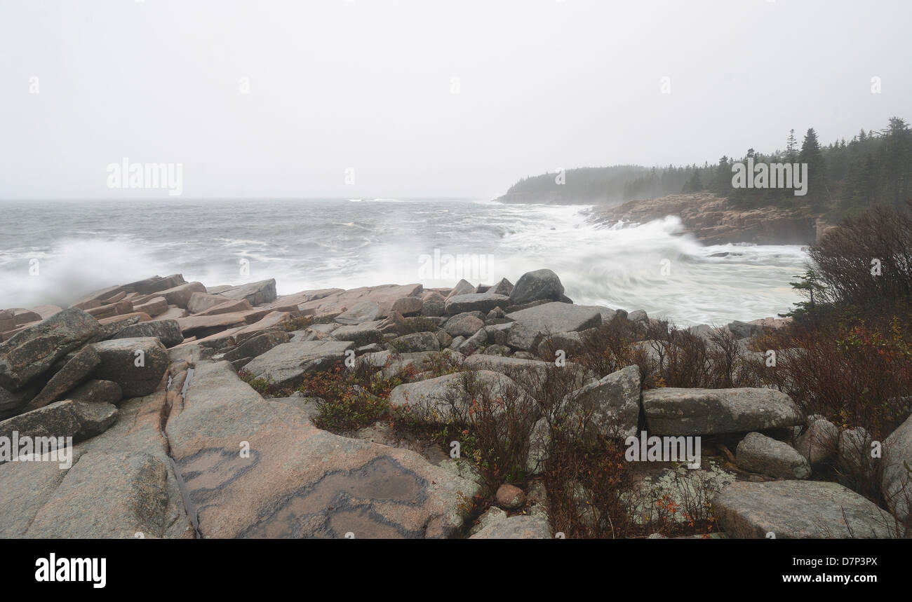 Hurrikan Sandy im Acadia National Park, Maine. Stockfoto