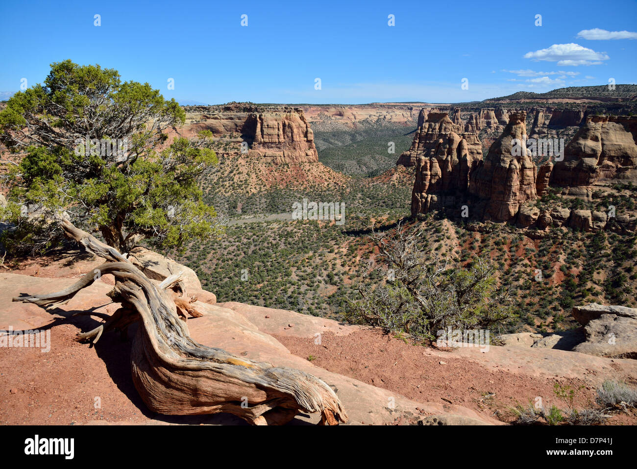 Sandstein-Klippen und Schluchten des Colorado National Monument. Grand Junction, Colorado, USA. Stockfoto