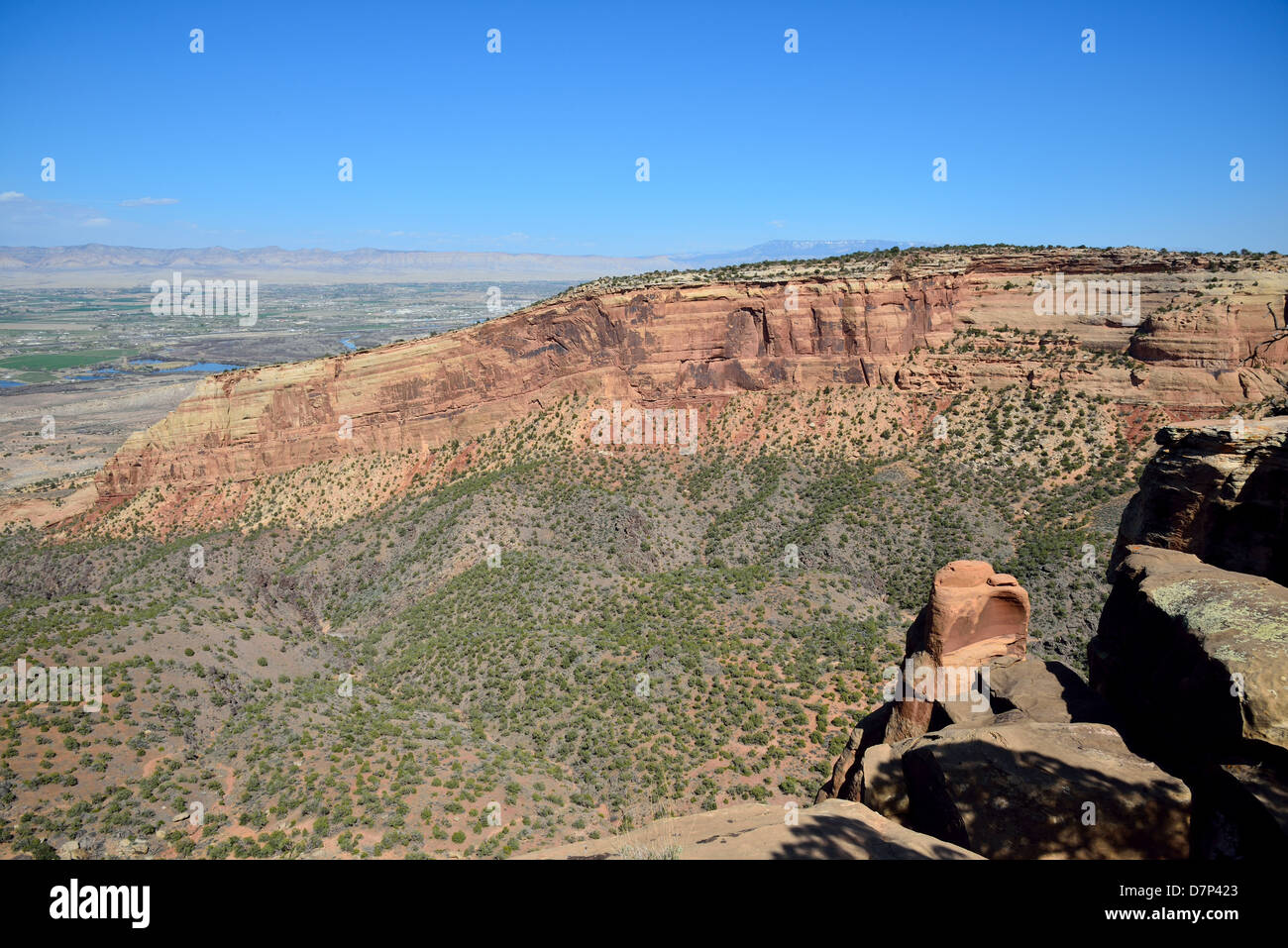 Monocline aus Sandstein am Colorado National Monument. Grand Junction, Colorado, USA. Stockfoto