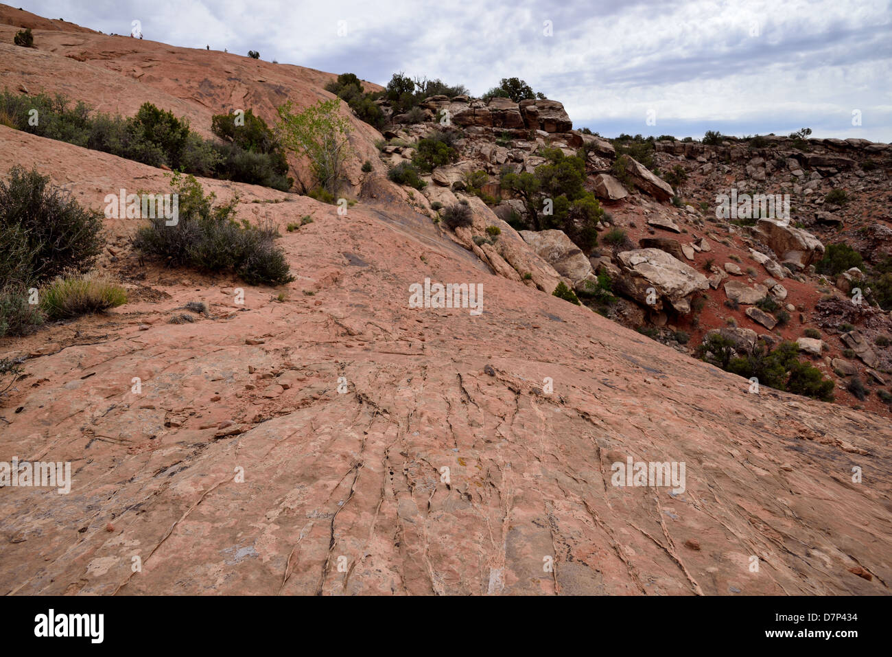 Deformationsbändern in der Sandsteinformation. Arches-Nationalpark, Moab, Utah, USA. Stockfoto