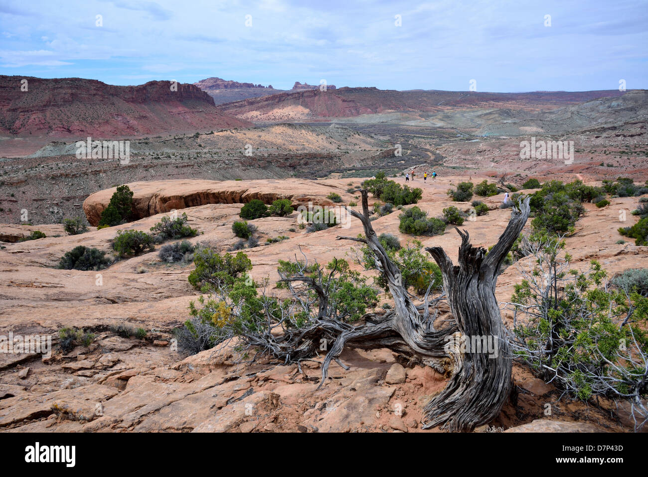 Landschaft des Arches-Nationalpark, Moab, Utah, USA. Stockfoto