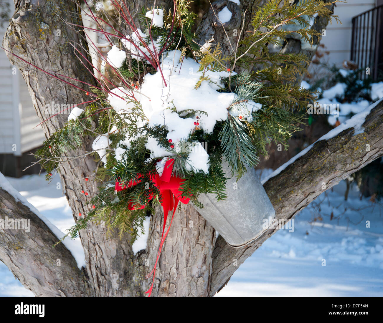 Bio Natur Christbaumschmuck hängen von einem Baum im freien Stockfoto