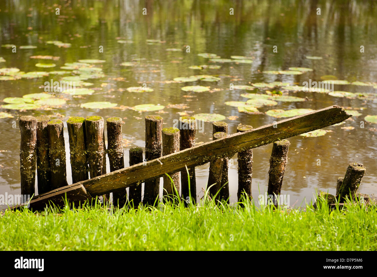 gebrochene Holzzaun am Teich-Ufer in Warschau Stockfoto