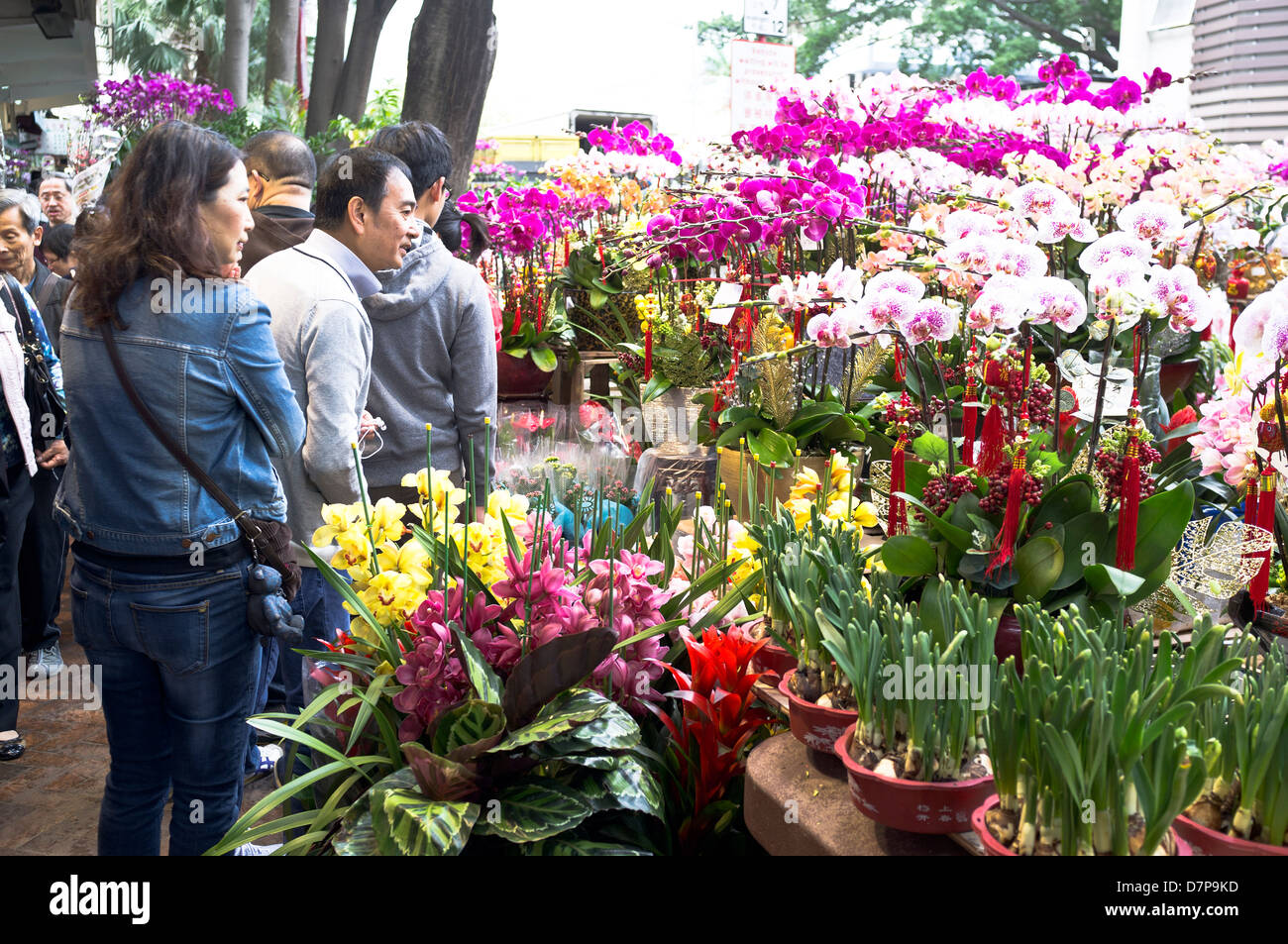 dh Blumenmarkt MONG KOK HONG KONG Chinesen bekommen Neujahrsblumen und Dekoration Markt Stand Display mongkok china Stockfoto
