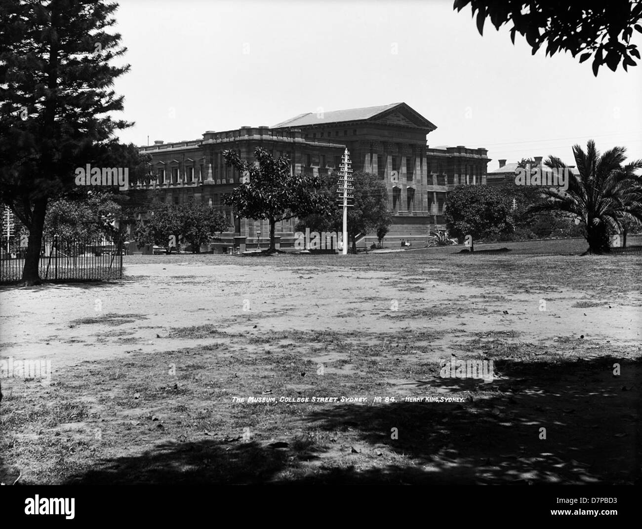 Das Australian Museum befindet sich an der College Street in Sydney und beherbergt eine große Sammlung historischer und naturgeschichtlicher Exponate. Es ist eines der besten Museen Australiens, in denen Wissenschaft, Kultur und Geschichte gezeigt werden. Stockfoto