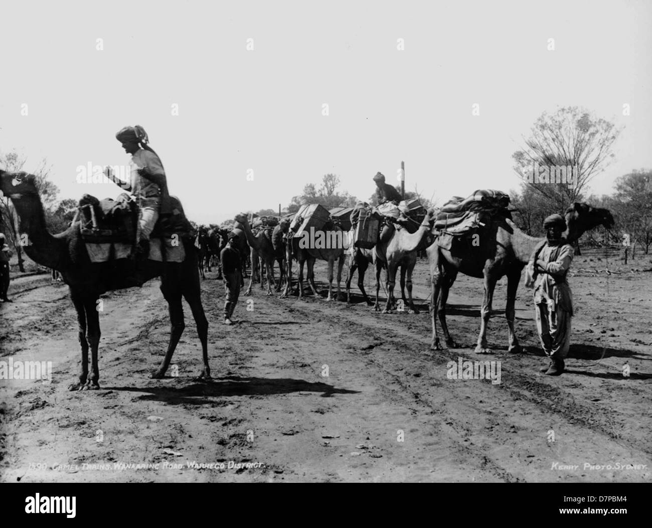 Eine Fotografie, die Kamelzüge auf der Wanaring Road im afghanischen Bezirk Warredo zeigt und die traditionellen Karawanenrouten zeigt, die für Transport und Handel in der Region genutzt werden. Stockfoto