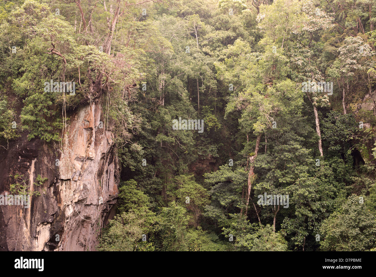 Mount Hypipamee Crater, befindet sich Süd-östlich von Herberton auf die Atherton Tablelands in Far North Queensland Stockfoto