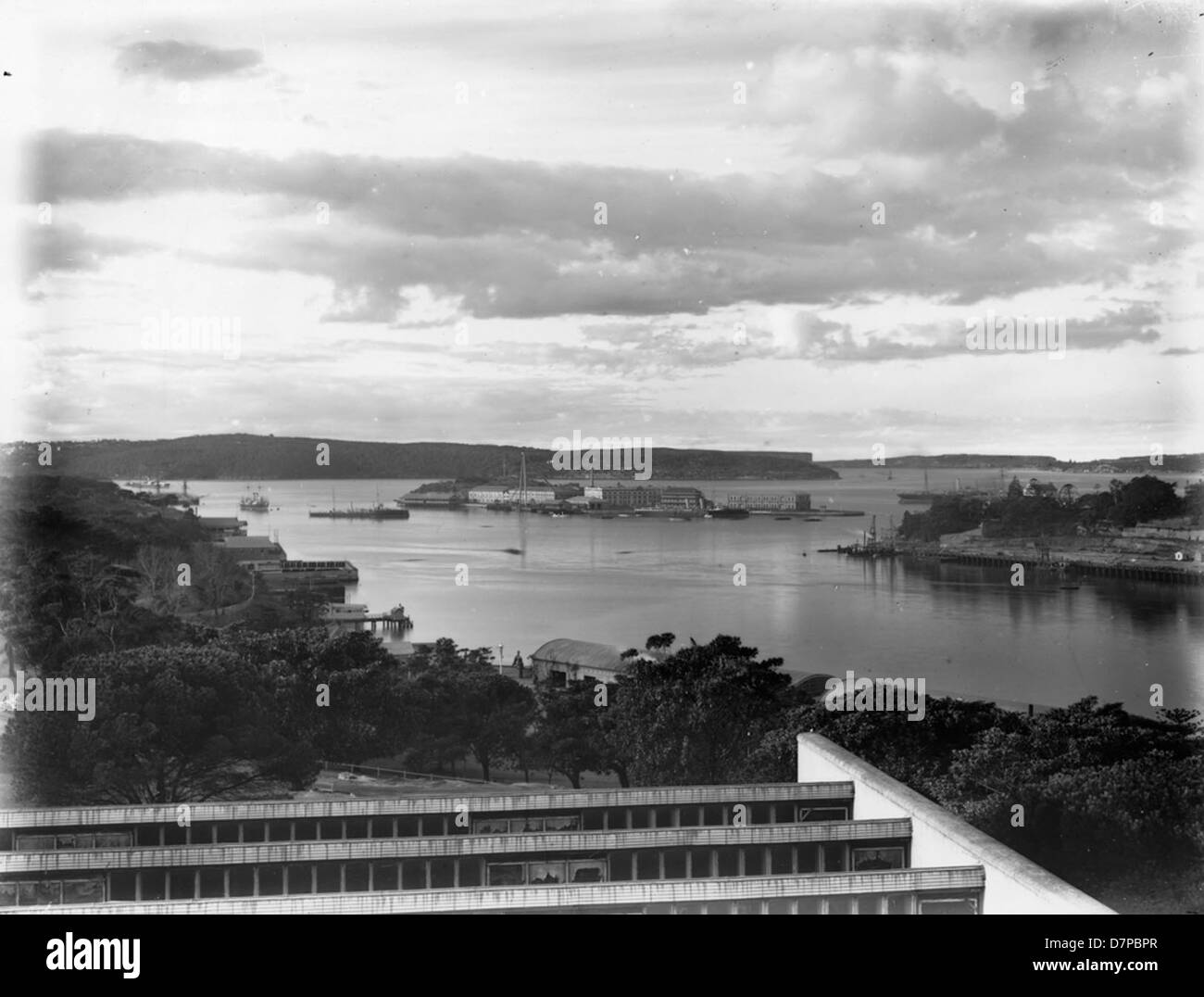 Sydney Harbour aus der Domäne Stockfoto