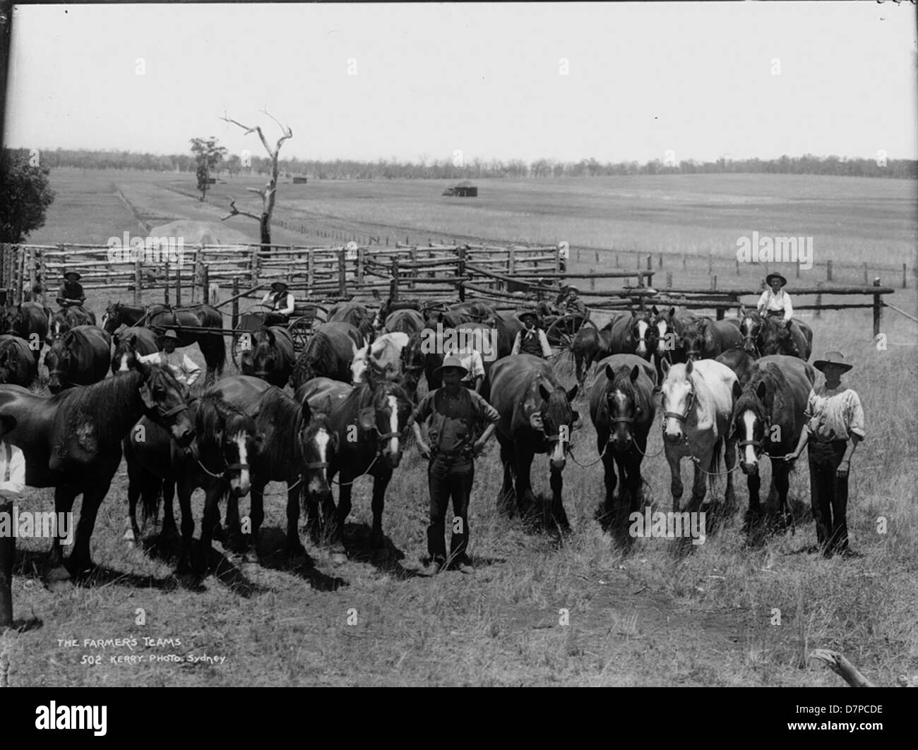Das Powerhouse Museum zeigt eine Ausstellung von Bauernteams, die im australischen Outback arbeiten. Die Szene zeigt Reiter, die Herden durch Weiden und Korralen führen und die traditionelle Arbeit australischer Bauern zeigen. Stockfoto