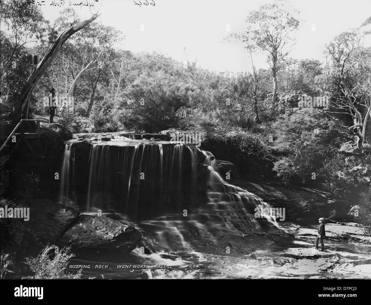 Weeping Rock, Wentworth Falls Stockfoto