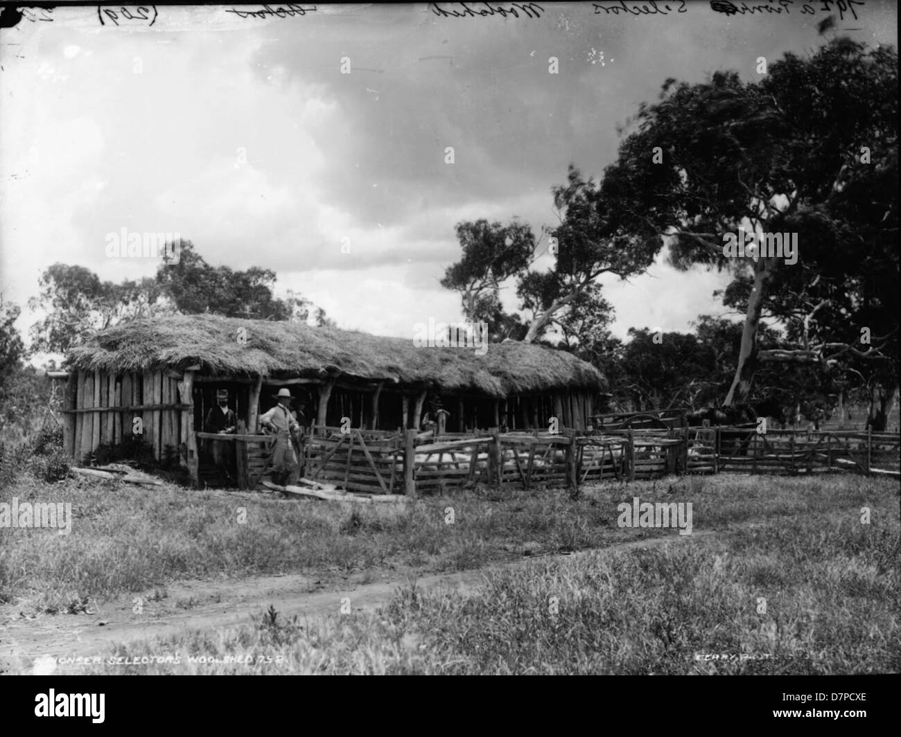 Dieses historische Bild eines Wollwerks eines Pioniers, der draußen steht, fängt einen Moment des frühen australischen Bauernlebens ein. Die Umgebung betont die rustikale Architektur der damaligen Zeit. Stockfoto