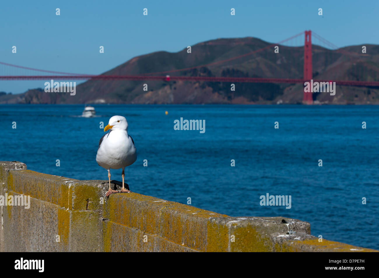 Die Golden Gate Bridge, San Francisco Bay, Kalifornien, USA. Stockfoto