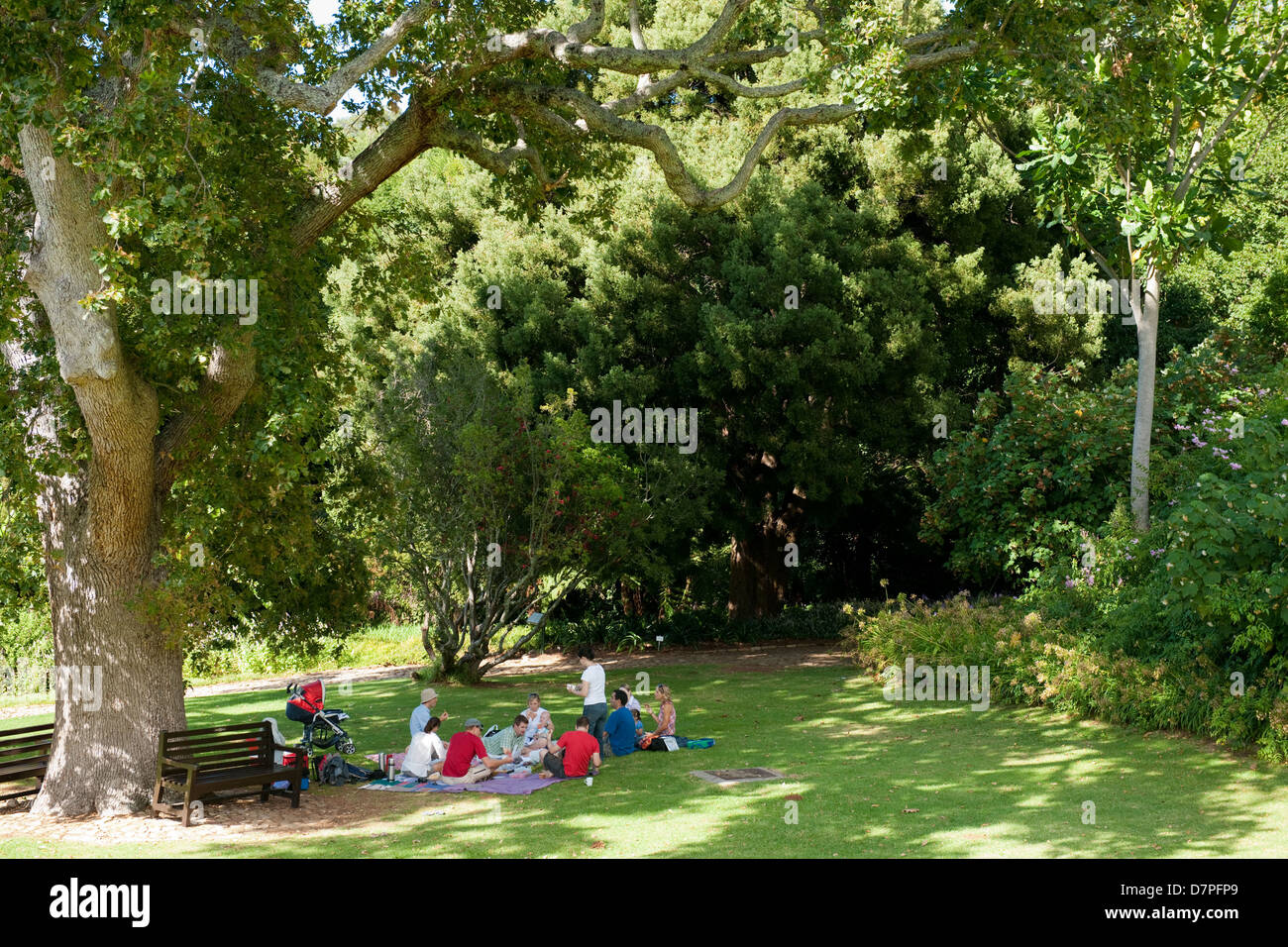 Picknick im Kirstenbosch National Botanical Garden, Kapstadt, Südafrika Stockfoto
