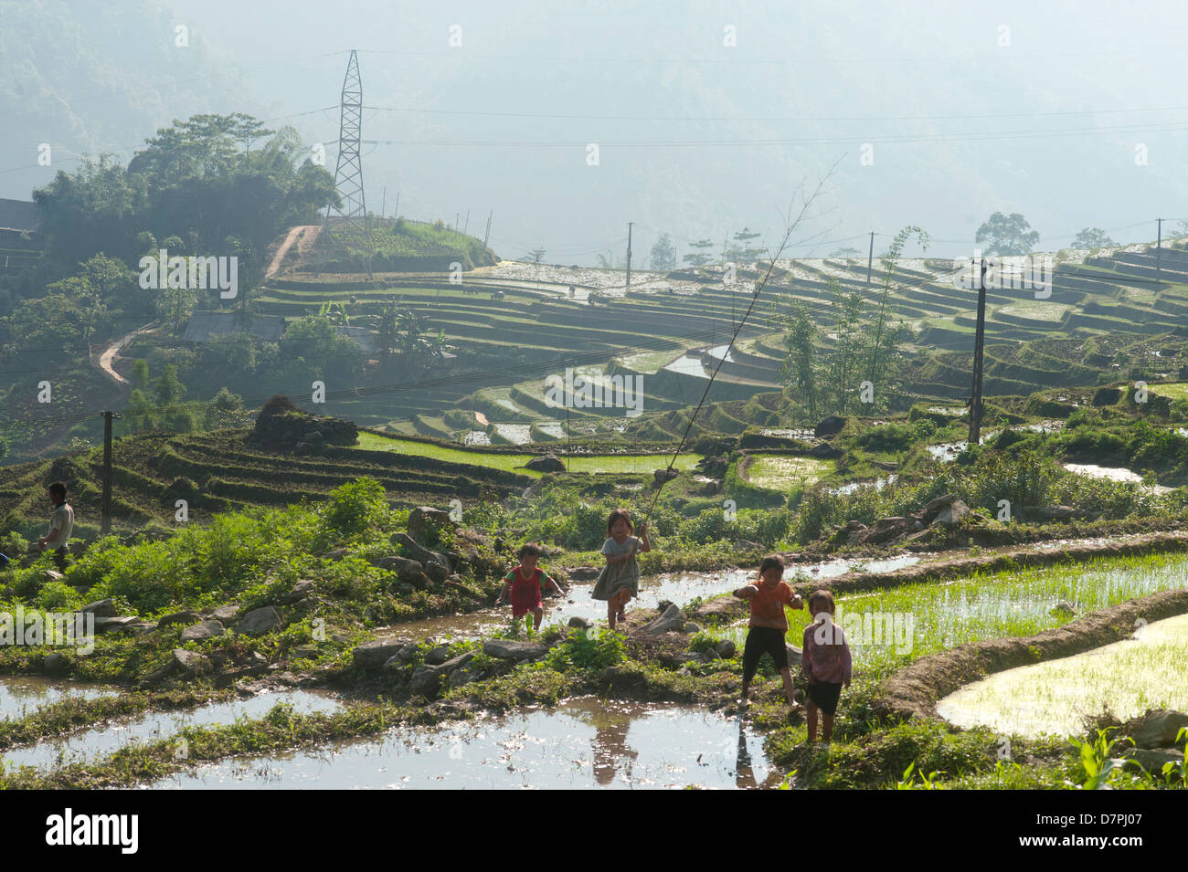 Sapa Region, Northeast Vietnam - Kinder laufen auf Reisfeldern Stockfoto