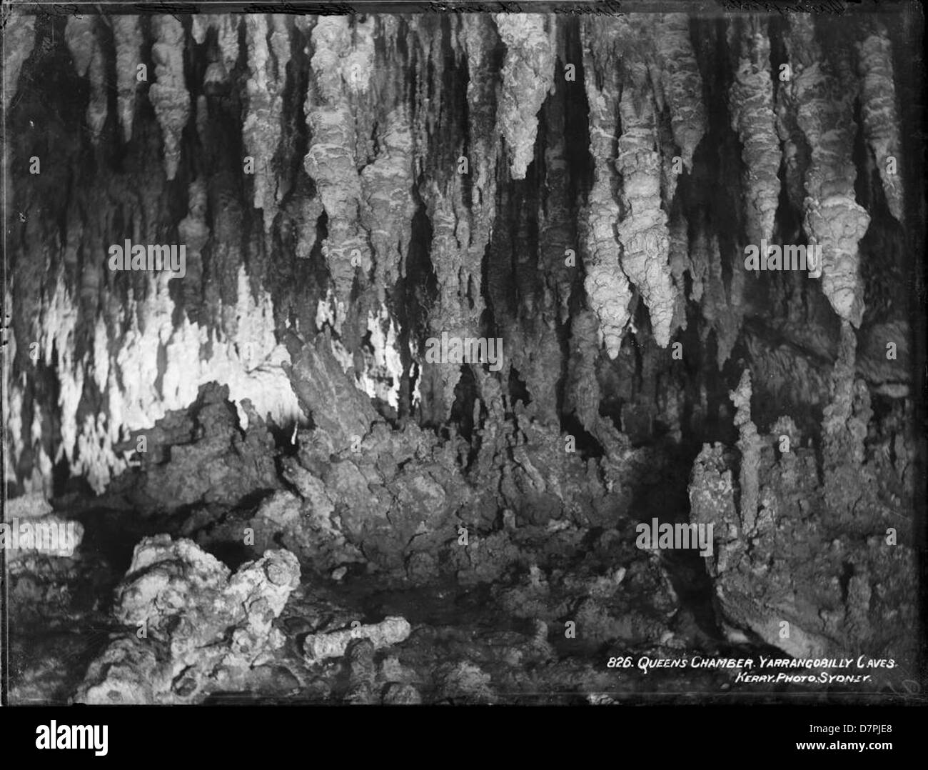 Königinnenkammer, Yarrongobilly Höhlen Stockfoto