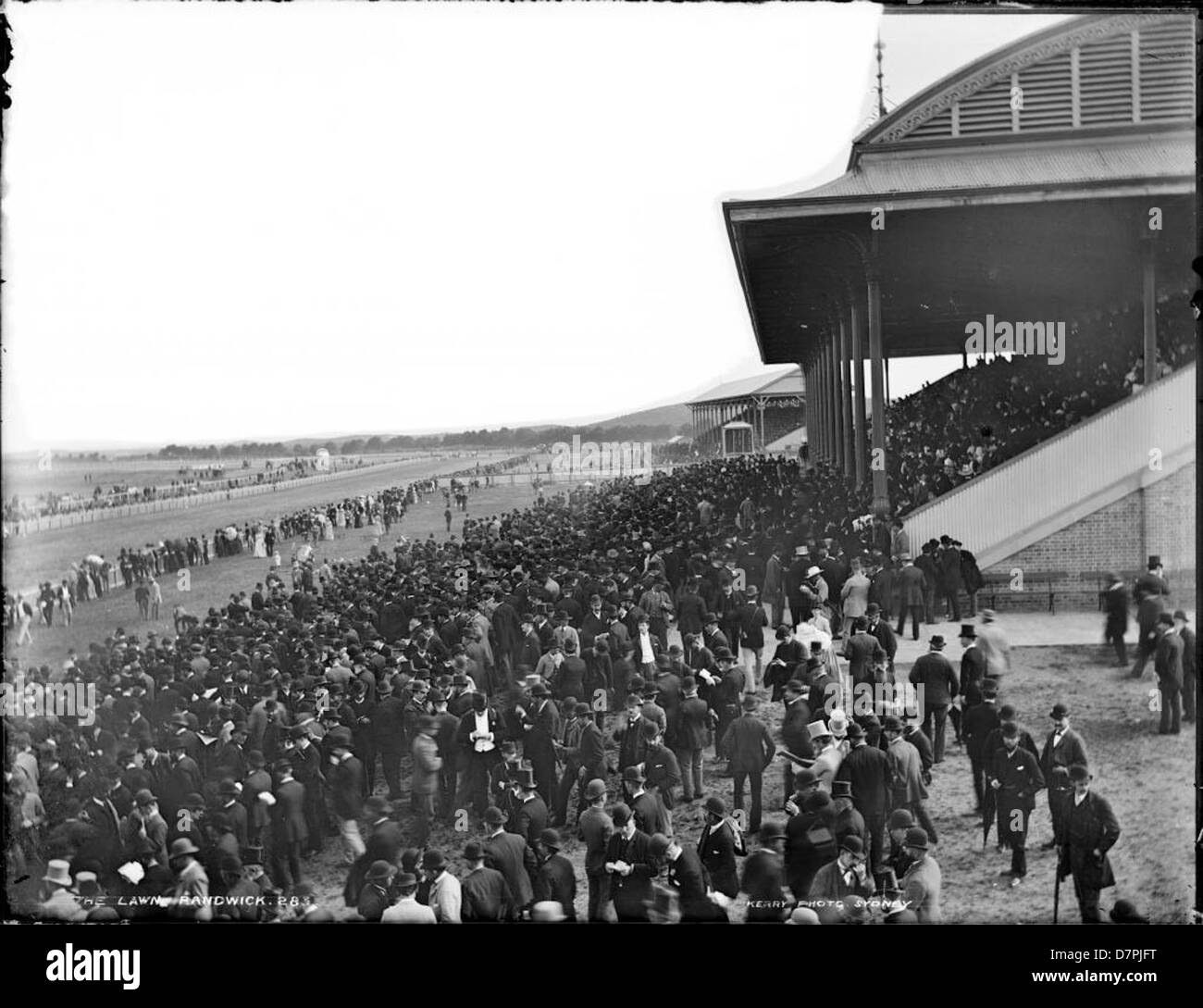 Der Rasen, Randwick Racecourse Stockfoto