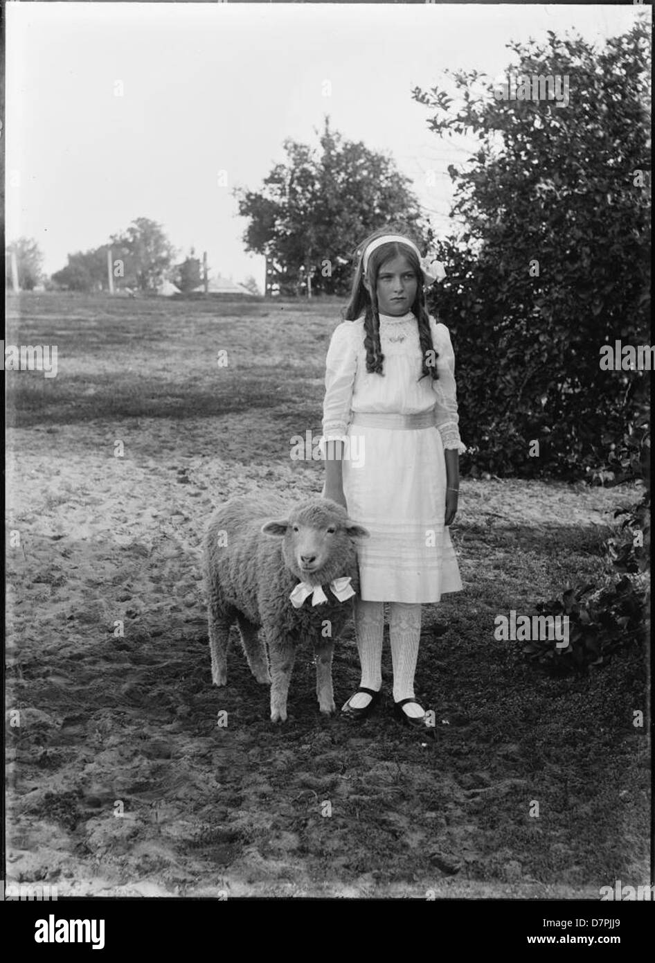 Ein junges Mädchen und ihr Lamm Stockfoto