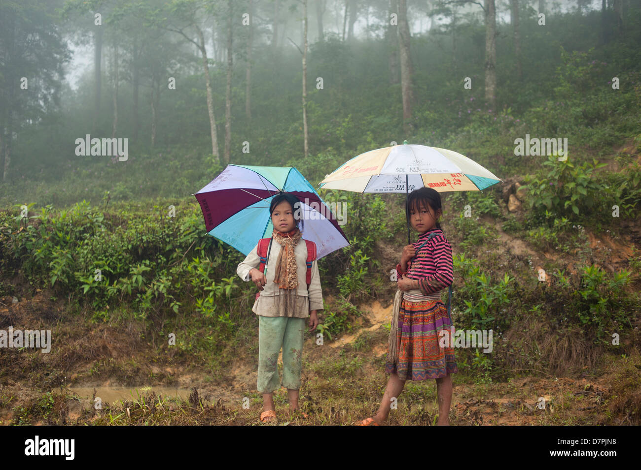 Sapa Region, Norhtwest Vietnam - zwei kleine Landwirte Mädchen. Stockfoto