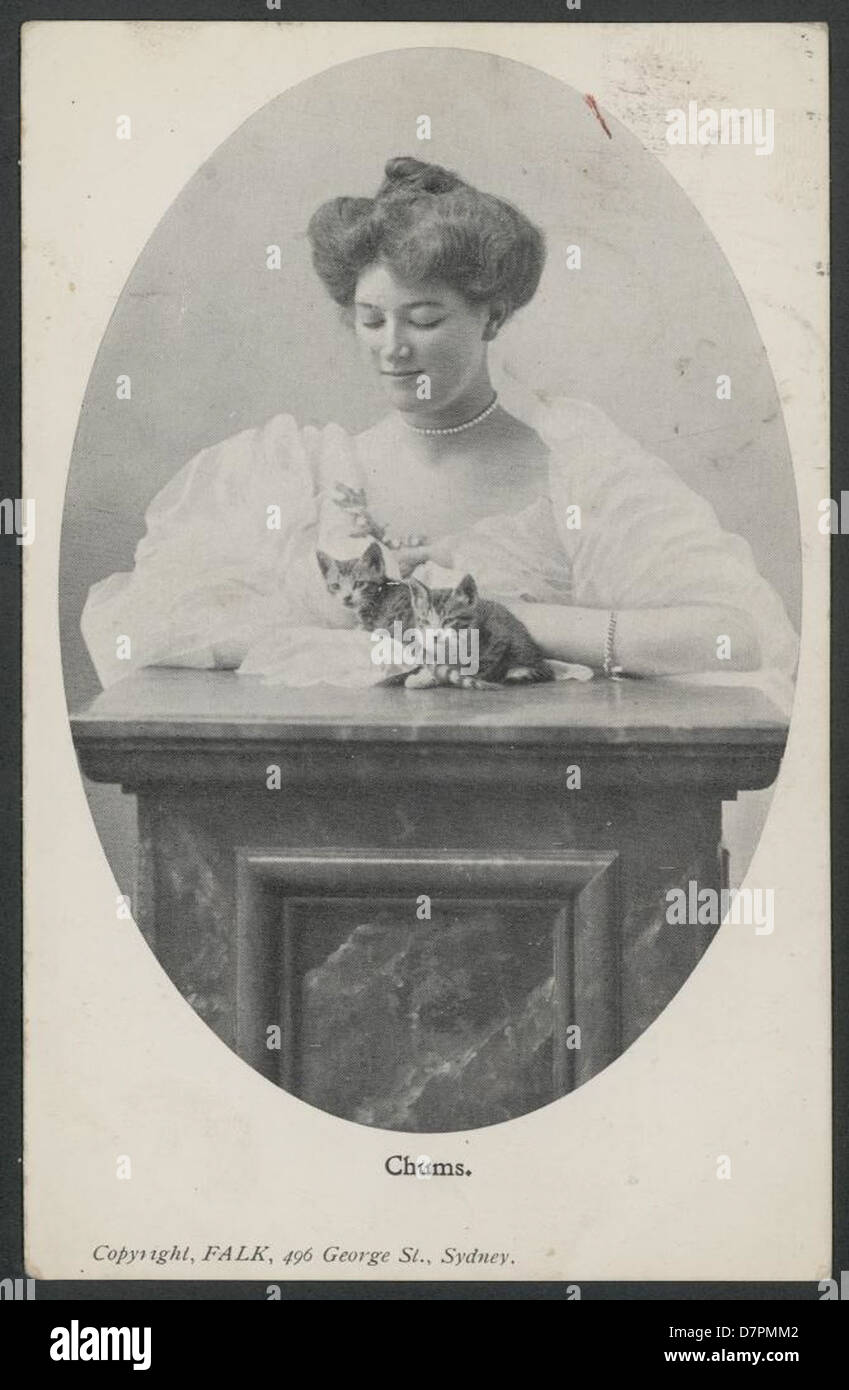 Frau und Katzen, 1906 Stockfoto