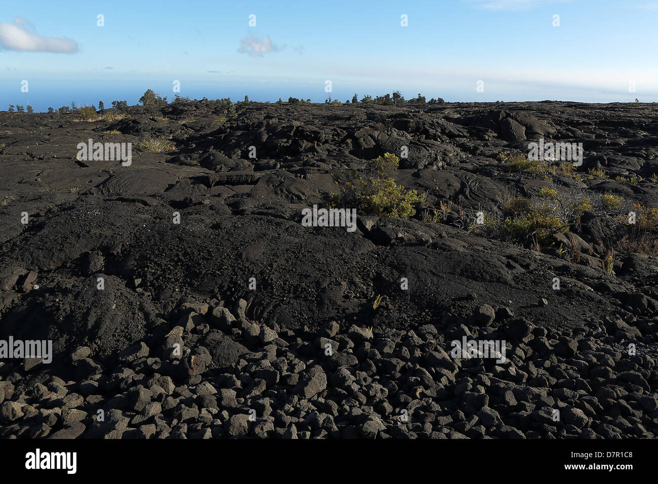 Felder der Lavaströme bis zum Meer auf der big Island von Hawaii Stockfoto
