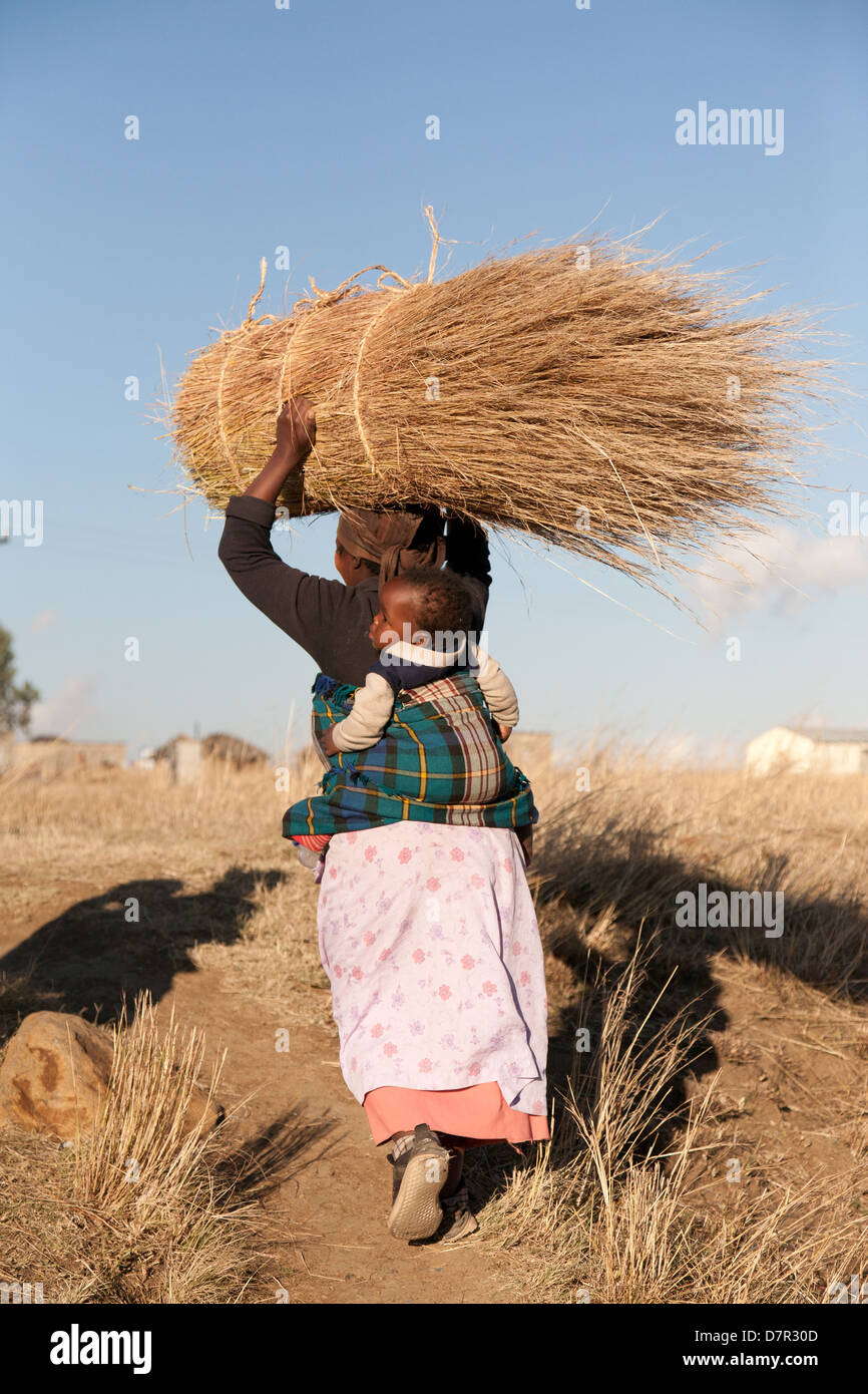 Afrikanische Frau, die ein Bündel von Schnittgut auf dem Kopf durch Stockfoto