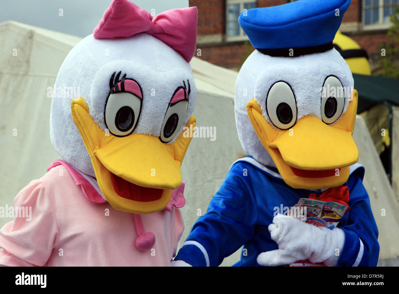 Donald und Daisy Duck kurzweilige Menschen bei der jährlichen Paisley-Entenrennen in Schottland laufen von den Pfadfindern Stockfoto