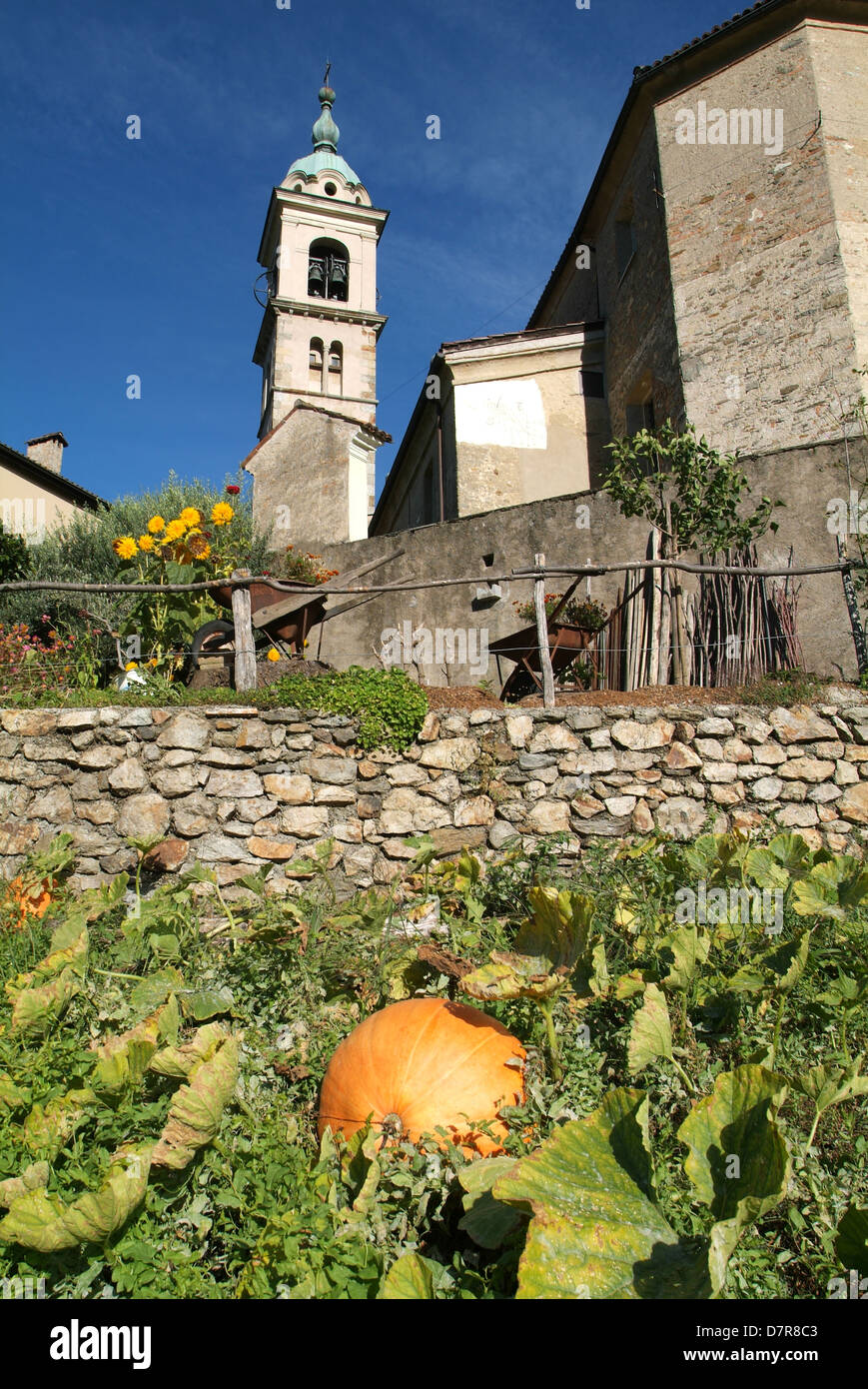 Kürbis in der Nähe von S.Abbondio Kirche auf dem italienischen Teil der Schweiz Stockfoto