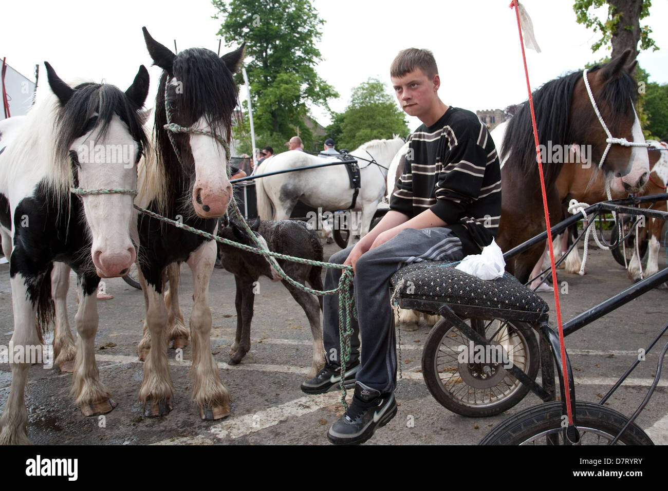 Ein Junge mit seinen Pferden bei Appleby Fair, ein jährliches Treffen der Zigeuner und Traveller Gemeinschaften aus Großbritannien und Irland in Cumbria Stockfoto