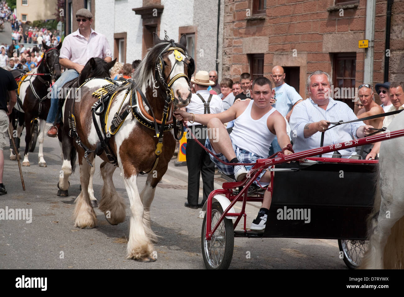 Pferden und Wagen am Appleby Fair, ein jährliches Treffen der Zigeuner und Traveller Gemeinschaften von Großbritannien und Irland in Cumbria, England Stockfoto