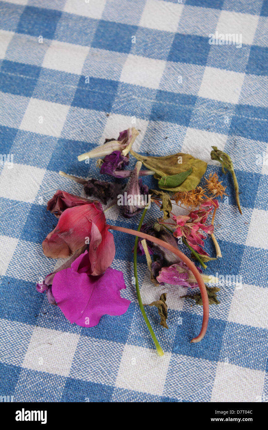 Blumen auf Check blau weiße Tischdecke Stockfoto