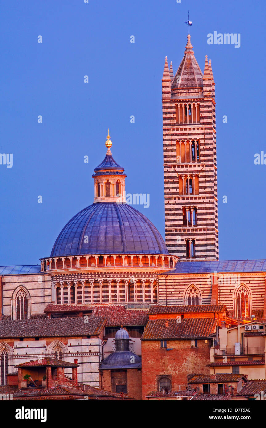 Siena, Dom, Kathedrale, Dom bei Sonnenuntergang, UNESCO World Heritage Site, Toskana, Italien Stockfoto
