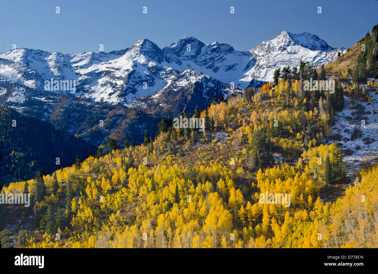 Ansicht von Butler Gabel des Mount Olympus, Twin Peaks, Wildnis Gebiete, Uinta-Wasatch-Cache National Forest, Salt Lake City, Utah Stockfoto