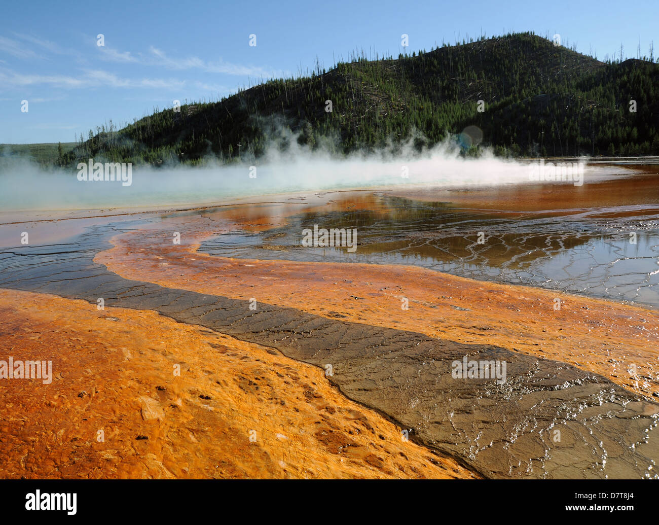 Holzstege können die Besucher eng Grand Bildobjekte Federn Yellowstone National Park, Grand Bildobjekte Federn nähern Stockfoto