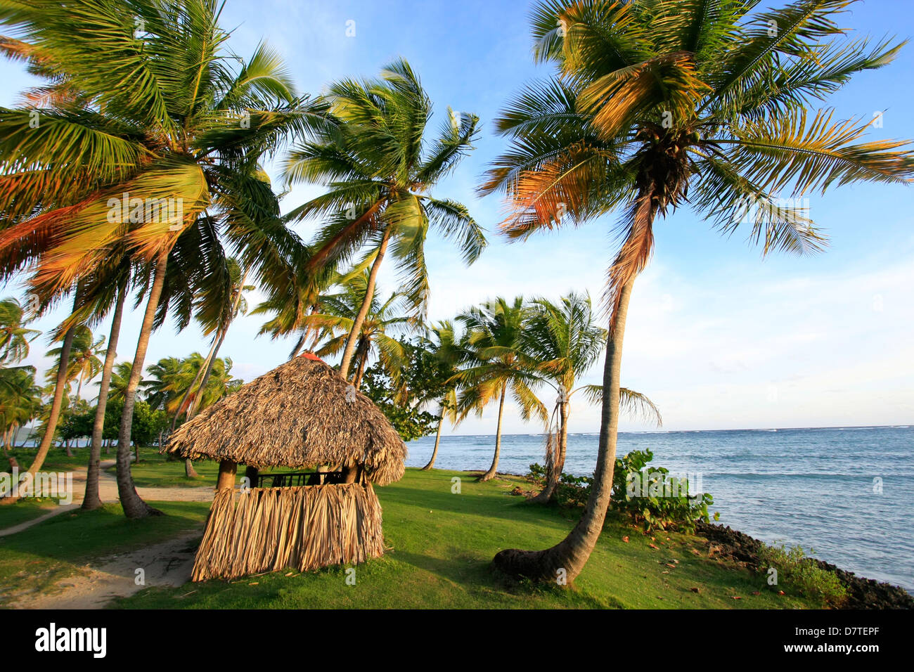 Strand von Las Galeras, Halbinsel Samana, Dominikanische Republik Stockfoto