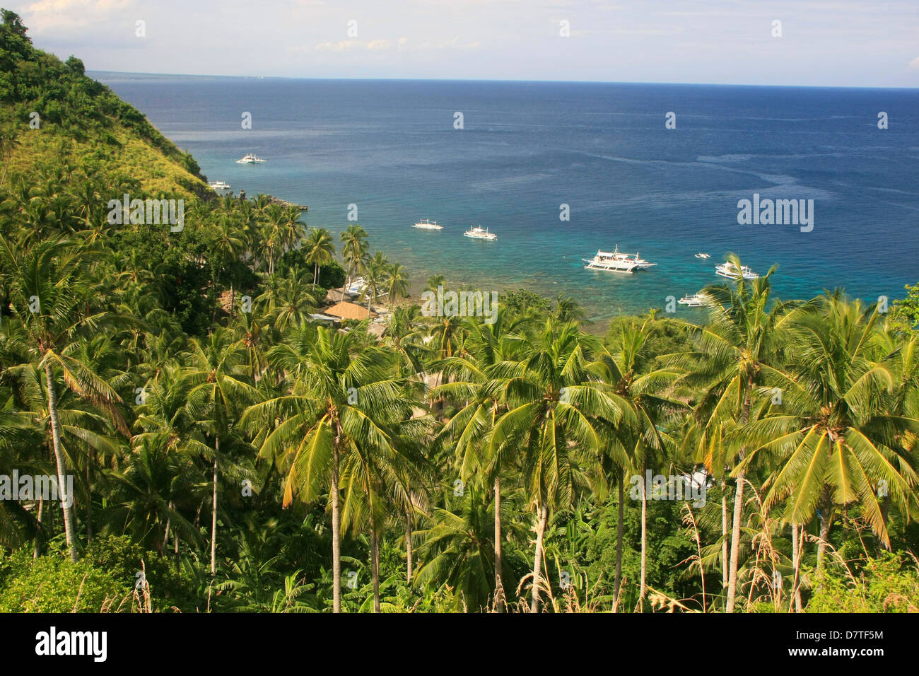 APO Island, Philippinen, Südostasien Stockfoto