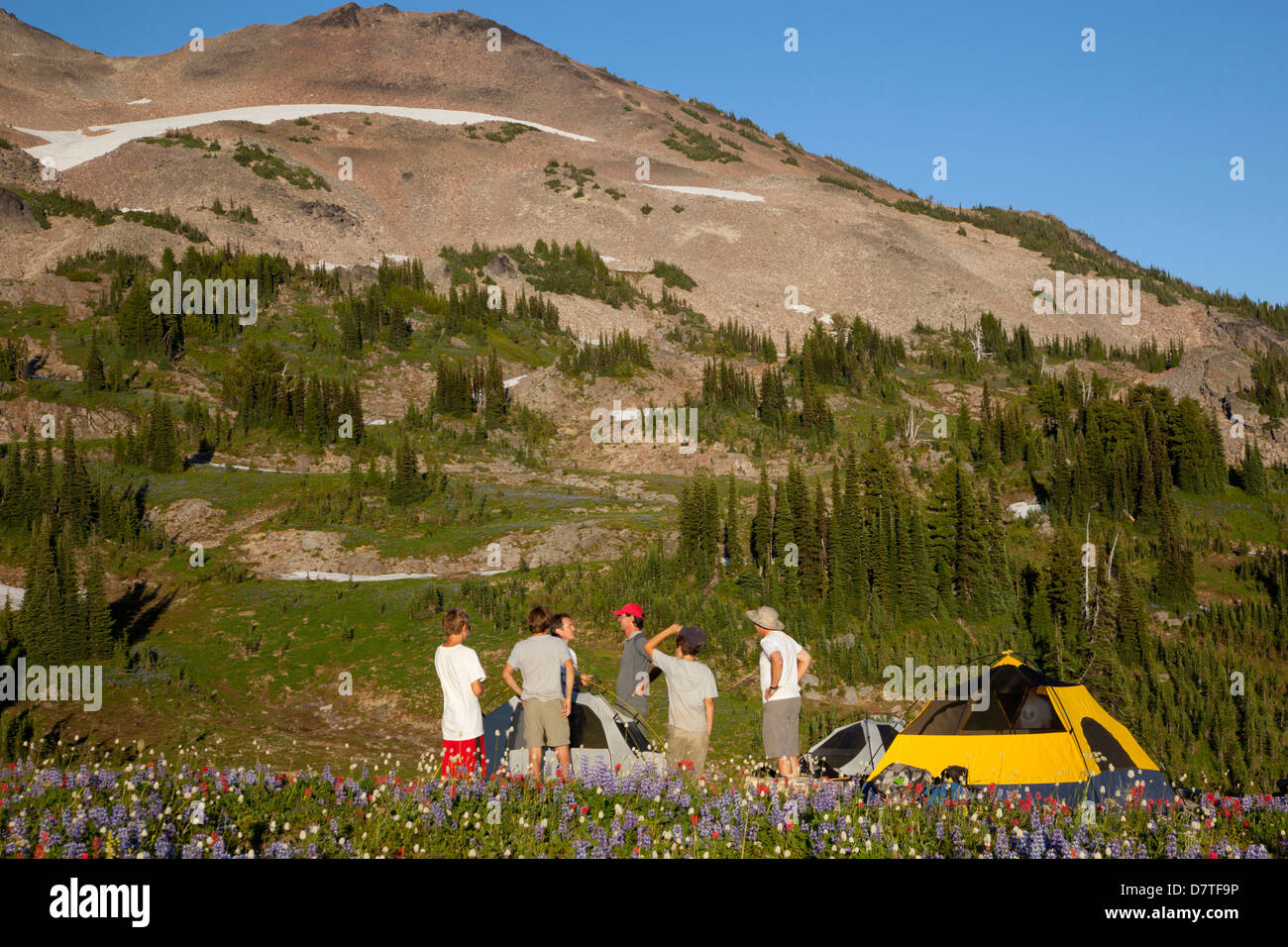 WA, Goat Rocks Wilderness, Wanderer Camp einrichten Stockfoto