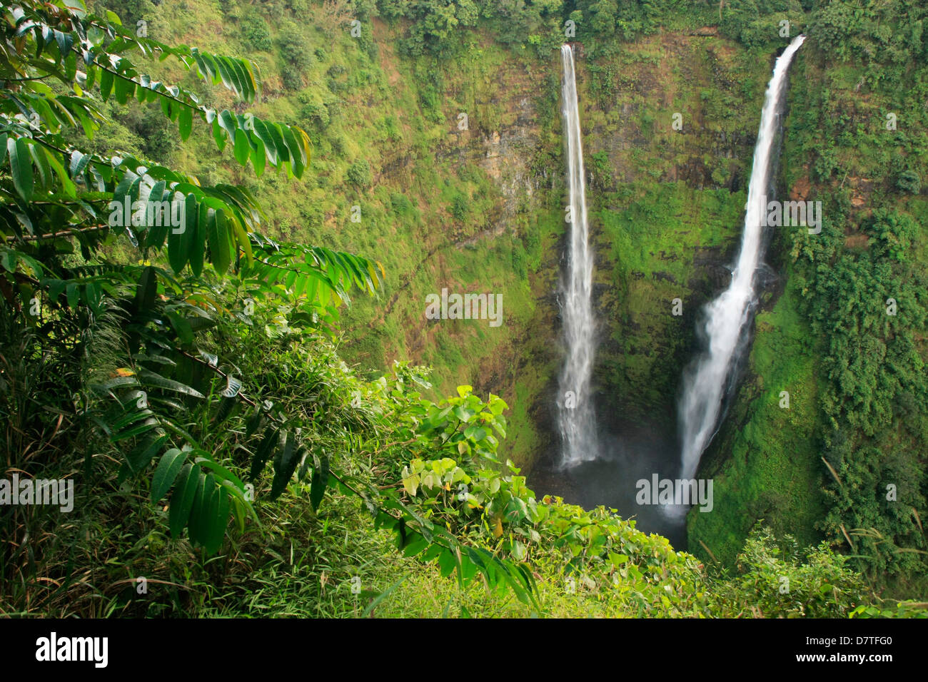 Tad Fane Wasserfall, Bolaven Plateau, Laos, Südostasien Stockfoto
