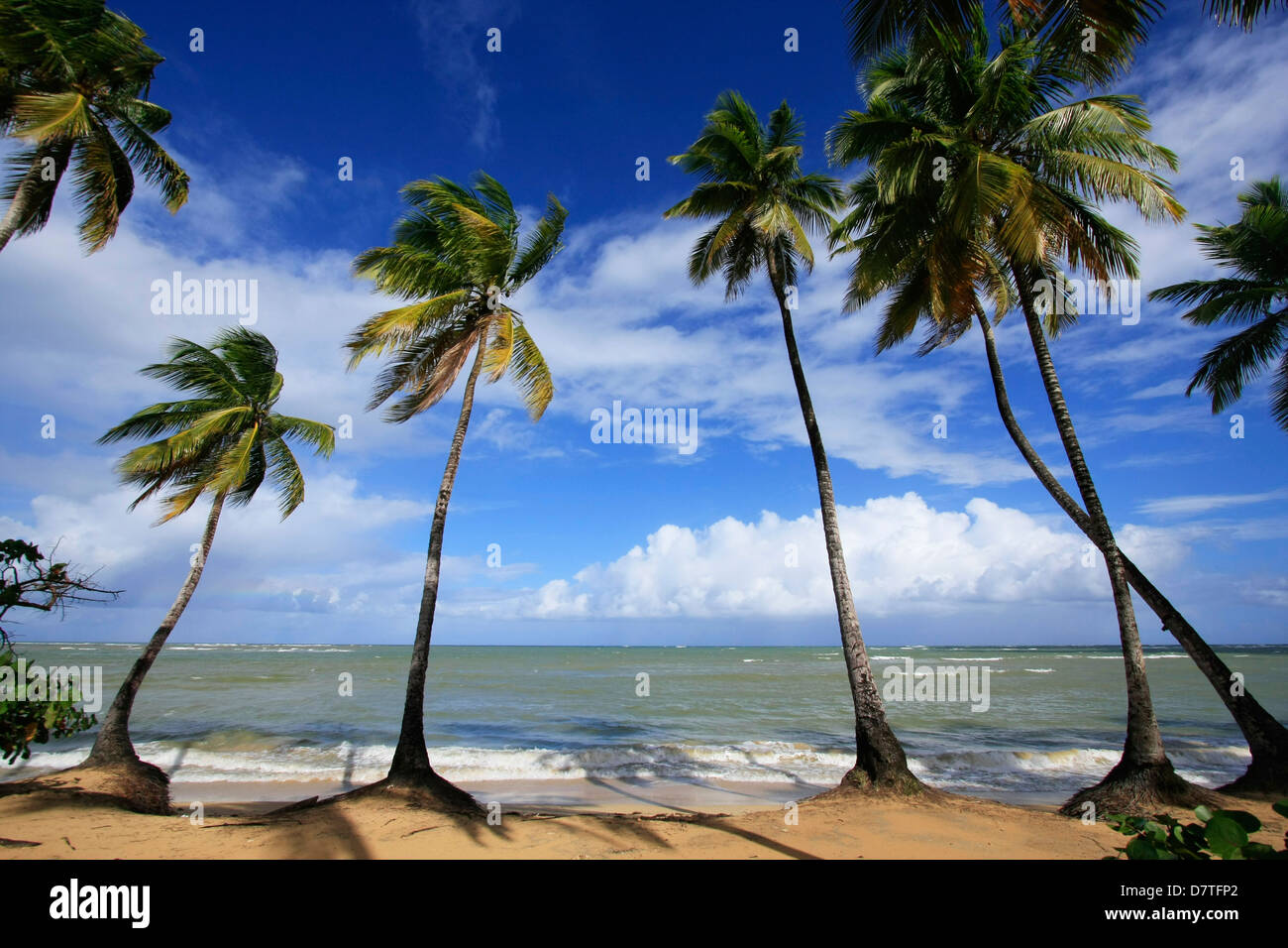 Strand von Las Terrenas, Halbinsel Samana, Dominikanische Republik Stockfoto