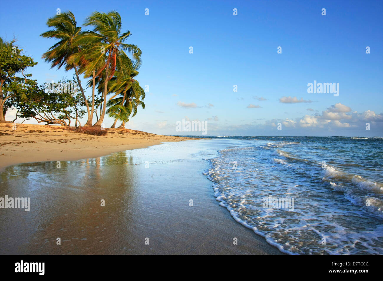 Strand von Las Terrenas, Halbinsel Samana, Dominikanische Republik Stockfoto