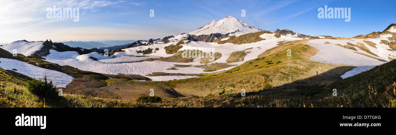 Washington, Cascade Mountains. Mount Baker Panorama vom Ptarmigan Ridge. Stockfoto