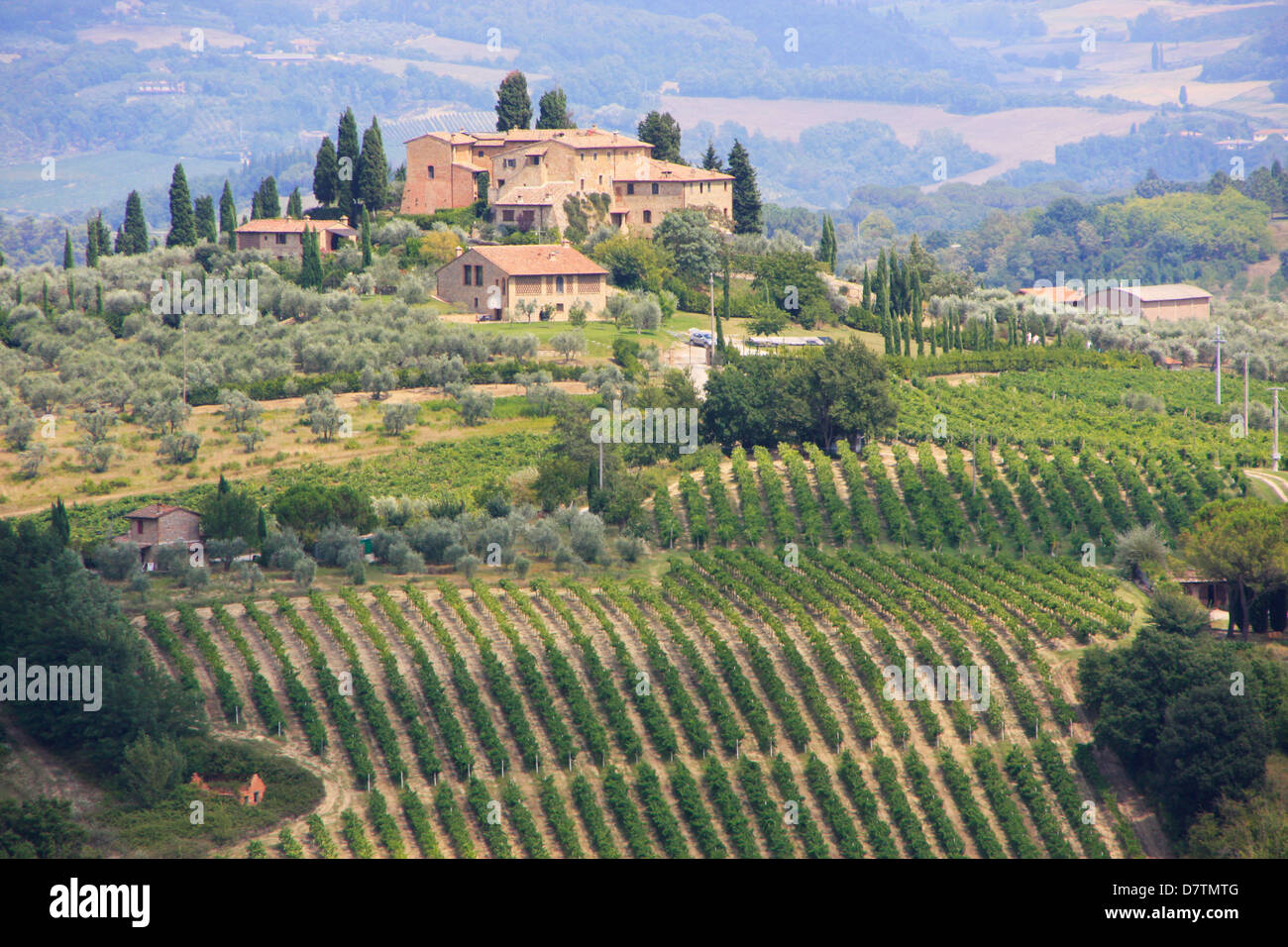 Country-Szene, Toskana, Italien Stockfoto