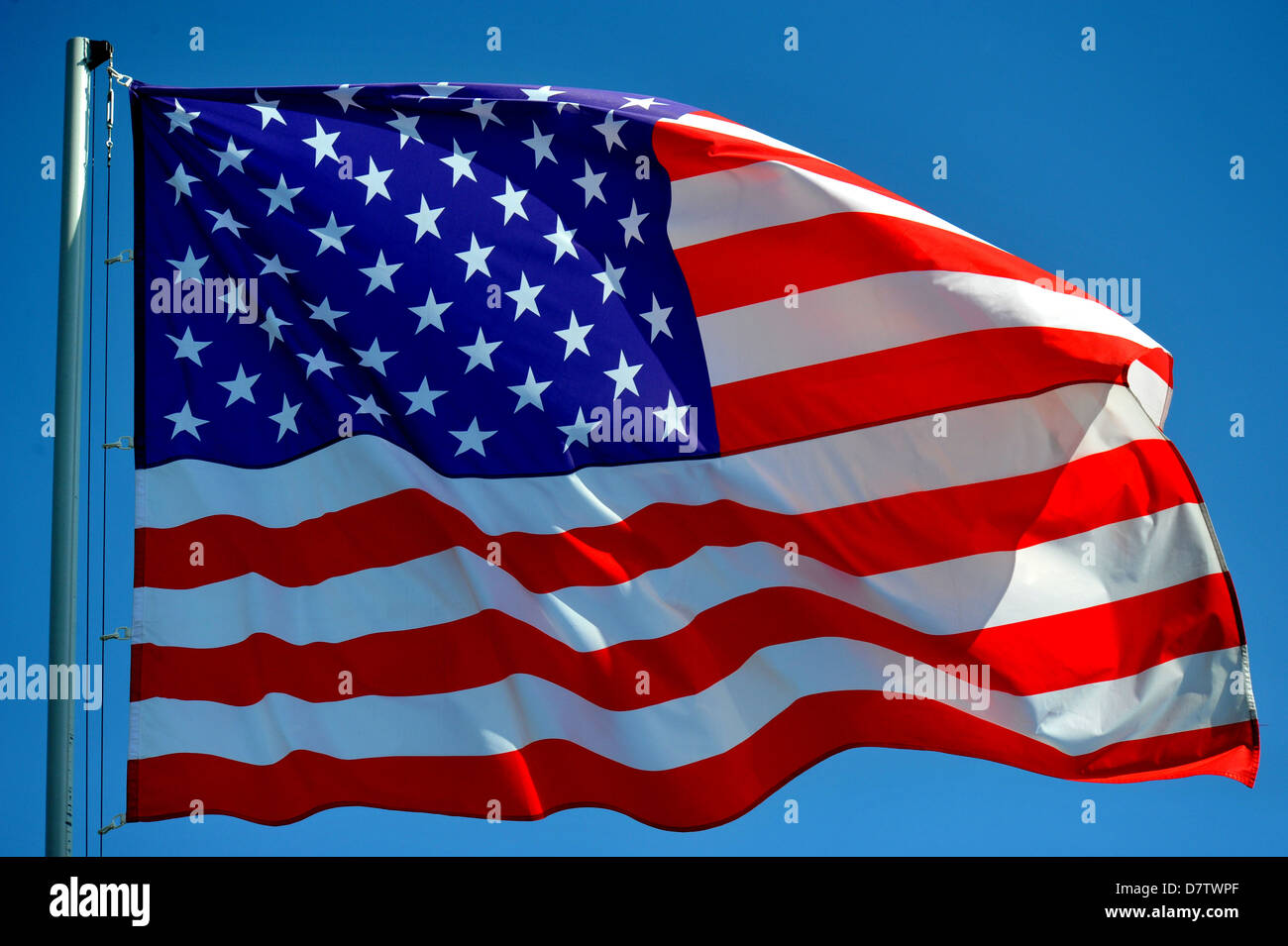 Amerikaner, US-Flagge, USA Stockfoto